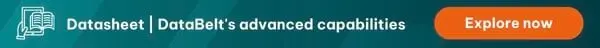Explore dataBelt's advanced capabilities