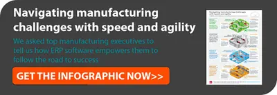 Agile ERP solution infographic