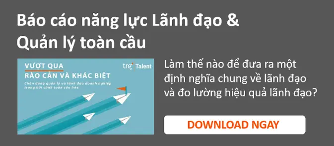 Báo cáo năng lực và quản lý toàn cầu