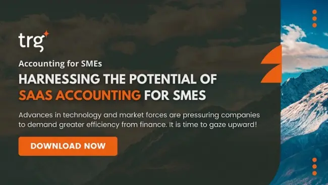Whitepaper | Harnessing the potential of SaaS accounting for SMEs