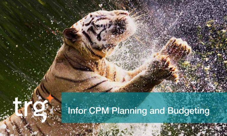 Infor CPM Planning and Budgeting