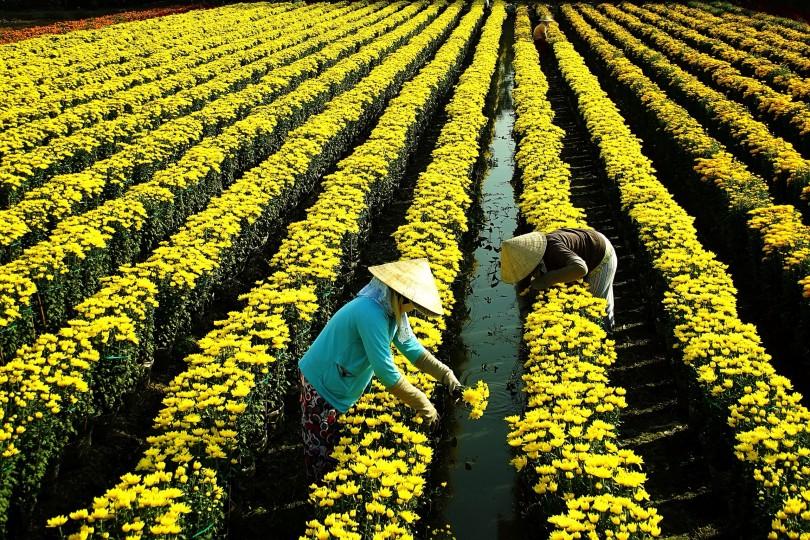 Infor SunSystems Cloud: Your Questions Answered