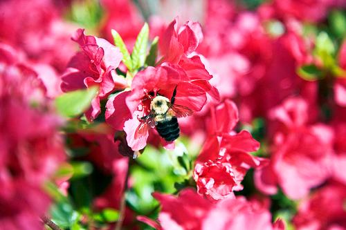 Four Evolving Roles of CFOs in The New Era