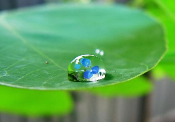 Intangible assets: a new financial management challenge