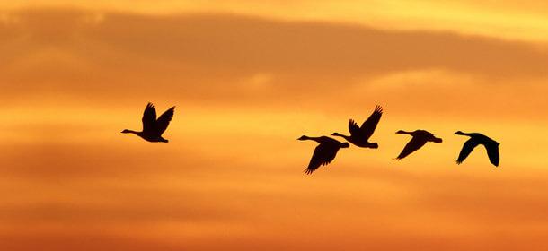 Which Leadership’s Key Factor is Unintentionally Forgotten?