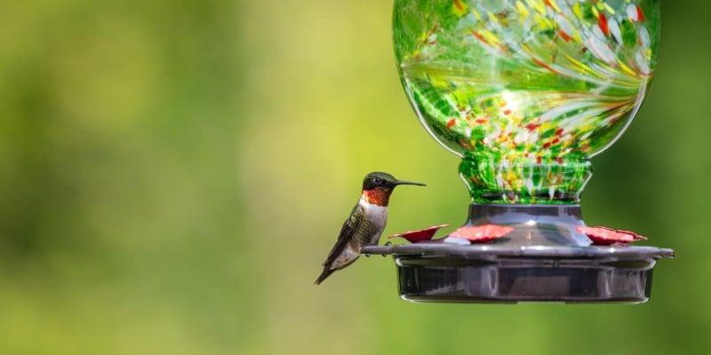 What Are CSR, ESG, and Sustainability & Why Do They Matter for Businesses?