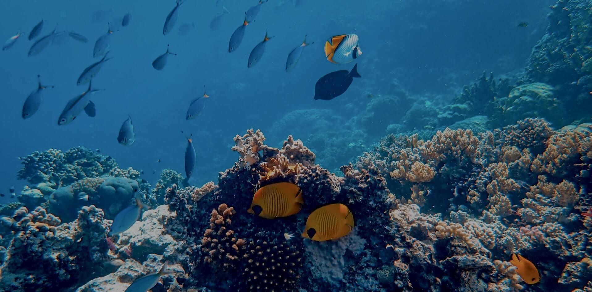 What You Need to Know About the Sarbanes-Oxley Act (SOX)