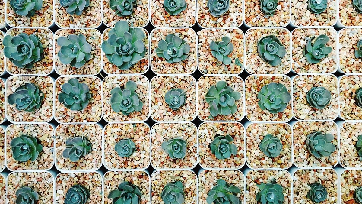 7 lời khuyên để quản lý và cố vấn nhân viên theo chủ nghĩa hoàn hảo