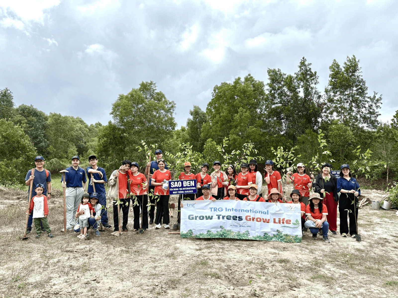 Trồng cây, Gieo mầm, Ươm rừng hy vọng