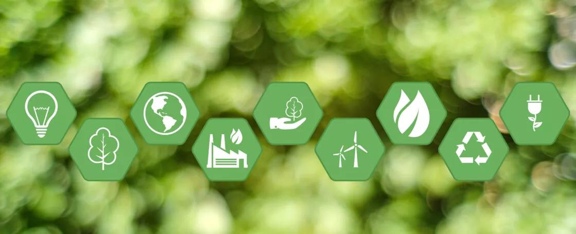 The A to Z of Sustainability Reporting to Reach Your Green Goals