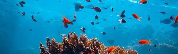 Phương Pháp Dự Báo Tài Chính Tốt Nhất Cho Ngành Bảo Hiểm