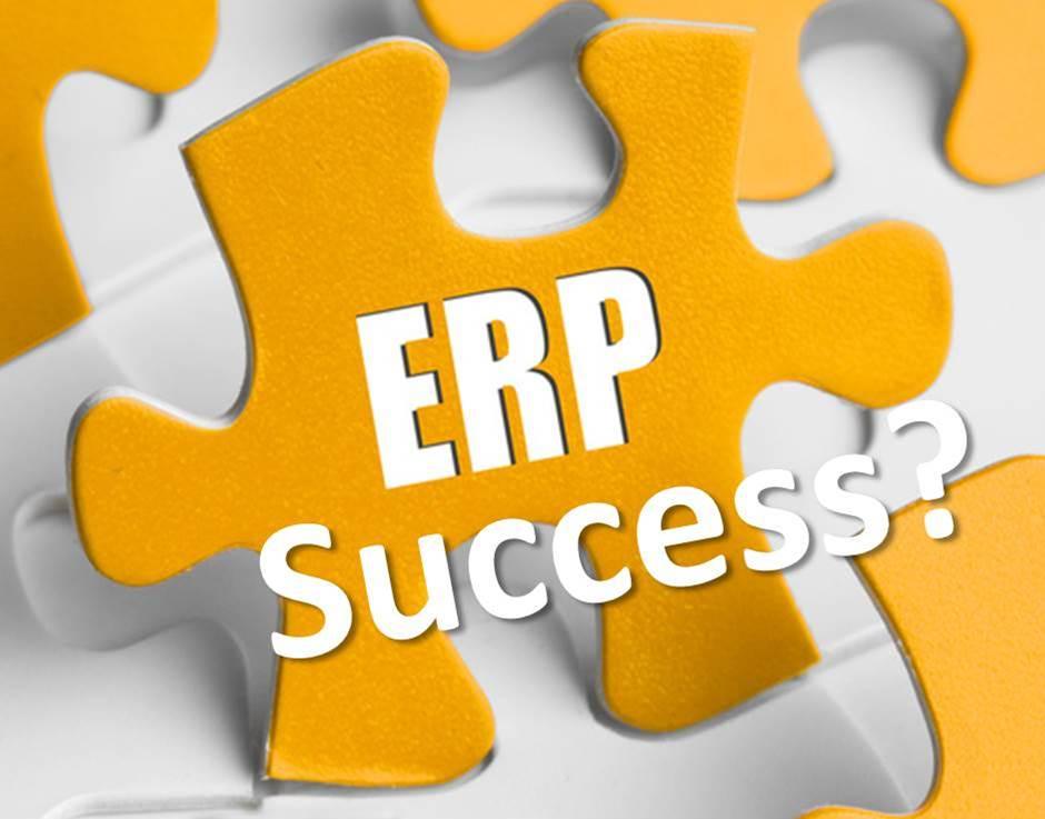 Increasing Speed to Add More Value in ERP Implementation