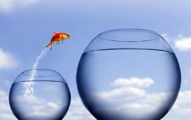 9 Basic Steps to a Successful ERP Implementation (Part 1)