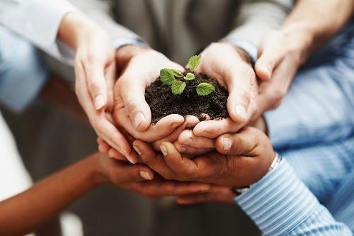 TRG Brings Success to Tech Start-up in Vietnam
