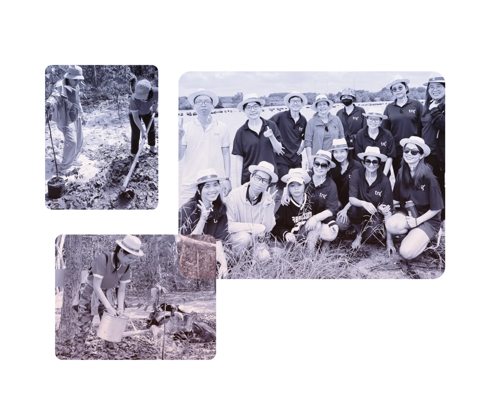 Trồng Cây hero image