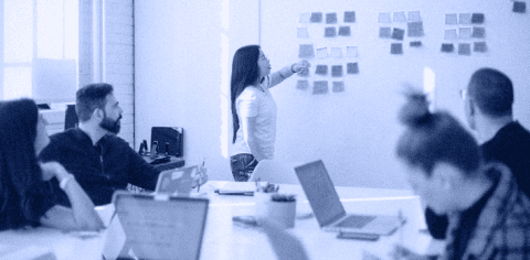Provide Training  & User Adoption Support