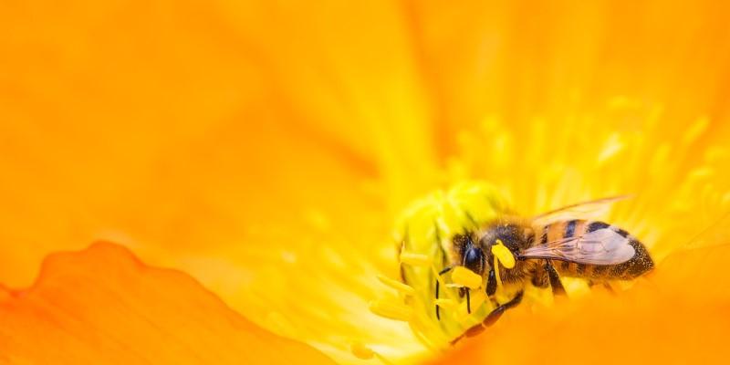 From Local to Global: Navigating Key Differences between IFRS and VAS