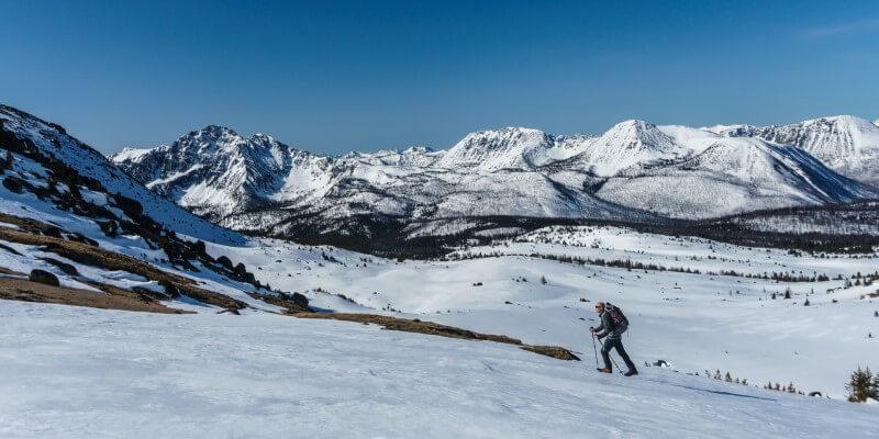 Top Business Coaches in The World – Who Are They?