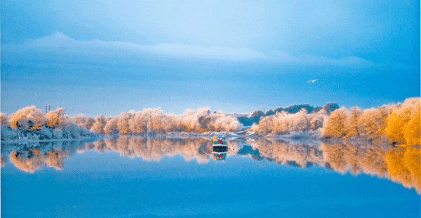 Fatigue, Exhaustion, Disengagement in A World of Working From Anywhere