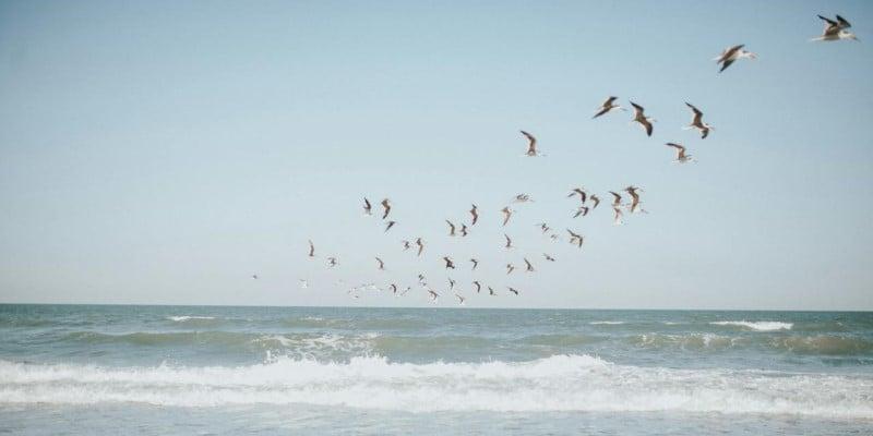 Unveiling the Strategic Benefits of IFRS