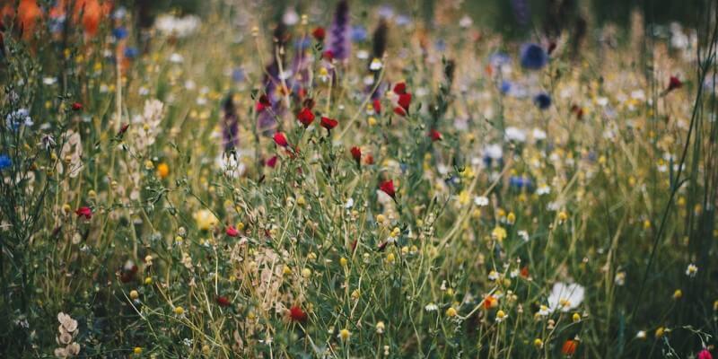 The 6-Step Guide to Developing a Diversity and Inclusion Plan