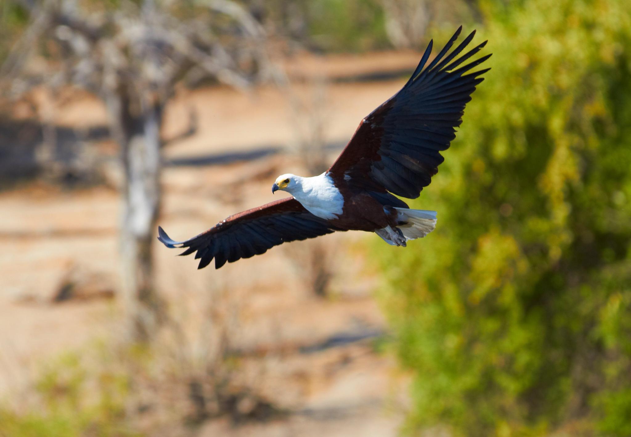 5 cải tiến giải pháp ERP đem lại cho quản lý chuỗi cung ứng