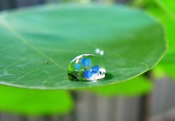 Tài sản vô hình: thách thức mới trong quản lý tài chính