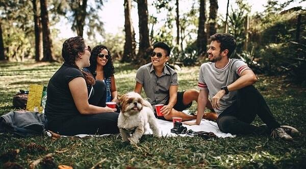 Gen Z and Gen AI: The New Digital Mentorship Revolution