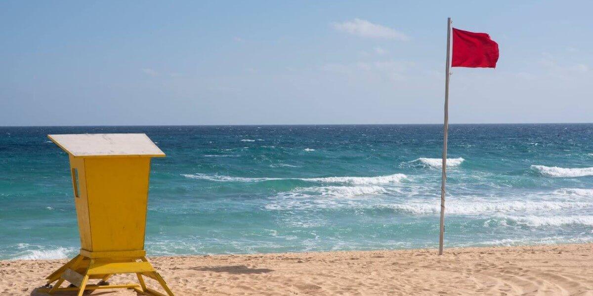 How to Choose Software Vendors: Hidden Red Flags You Must Know Today