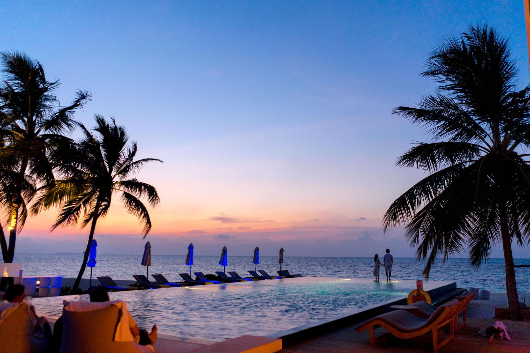 Sunset over a beachfront resort infinity pool lined with palm trees
